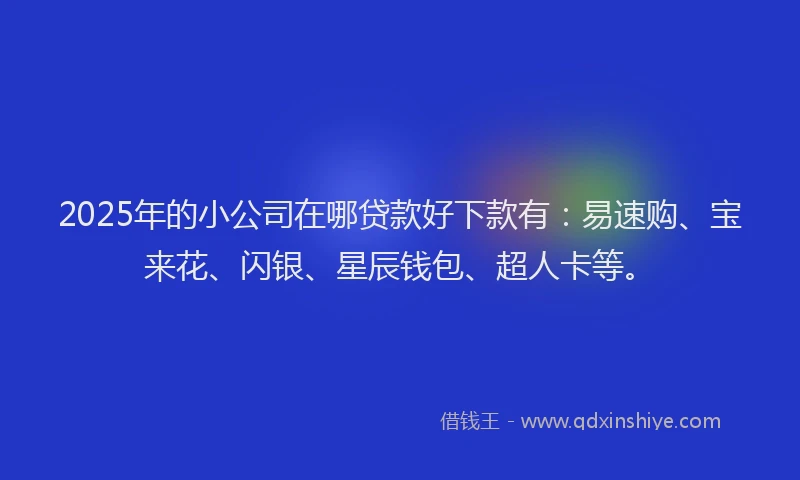 2025年的小公司在哪贷款好下款有：易速购、宝来花、闪银、星辰钱包、超人卡等。