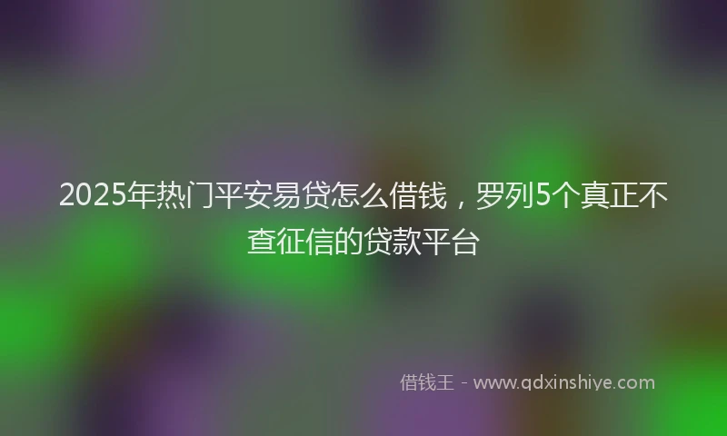 2025年热门平安易贷怎么借钱，罗列5个真正不查征信的贷款平台