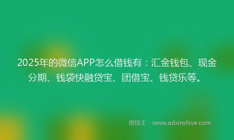 2025年的微信APP怎么借钱有：汇金钱包、现金分期、钱袋快融贷宝、团借宝、钱贷乐等。