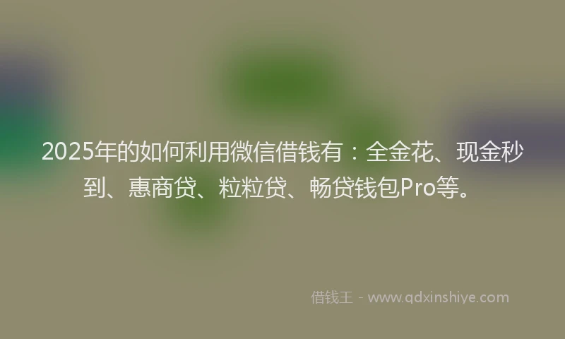 2025年的如何利用微信借钱有：全金花、现金秒到、惠商贷、粒粒贷、畅贷钱包Pro等。