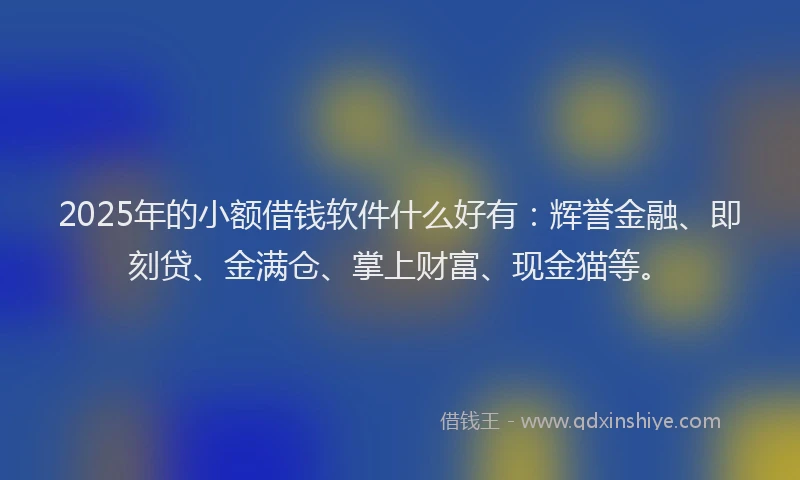 2025年的小额借钱软件什么好有：辉誉金融、即刻贷、金满仓、掌上财富、现金猫等。