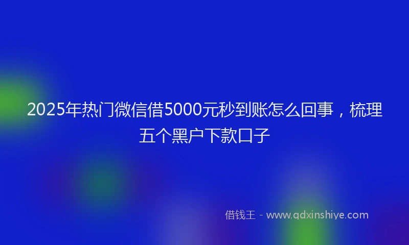 2025年热门微信借5000元秒到账怎么回事，梳理五个黑户下款口子