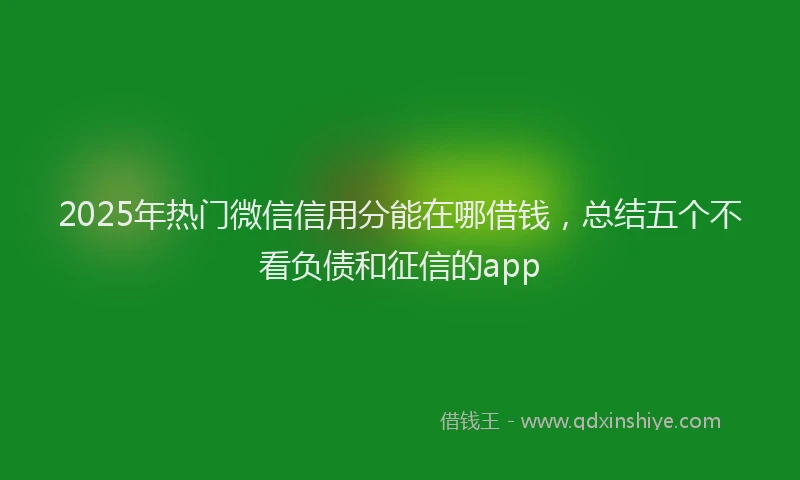 2025年热门微信信用分能在哪借钱，总结五个不看负债和征信的app