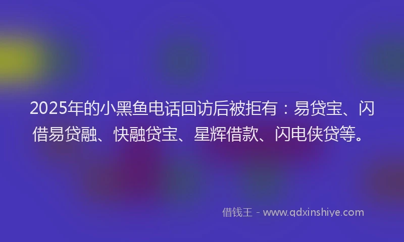 2025年的小黑鱼电话回访后被拒有：易贷宝、闪借易贷融、快融贷宝、星辉借款、闪电侠贷等。