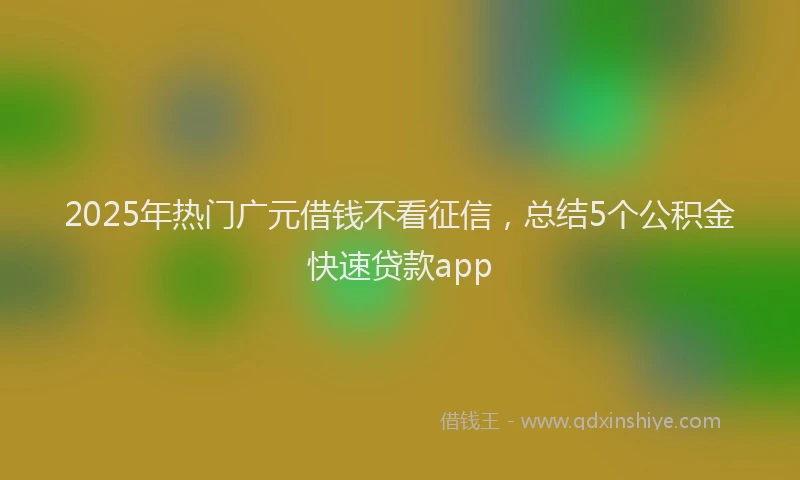 2025年热门广元借钱不看征信，总结5个公积金快速贷款app
