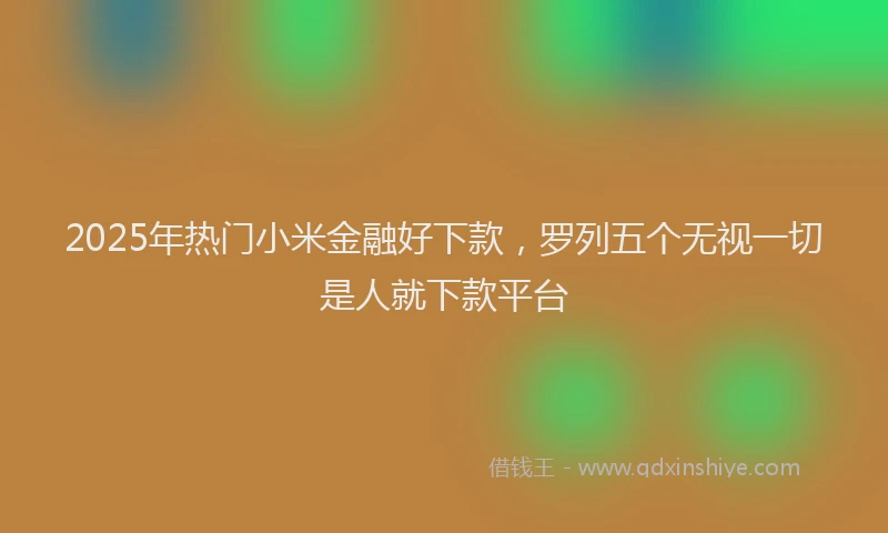 2025年热门小米金融好下款，罗列五个无视一切是人就下款平台