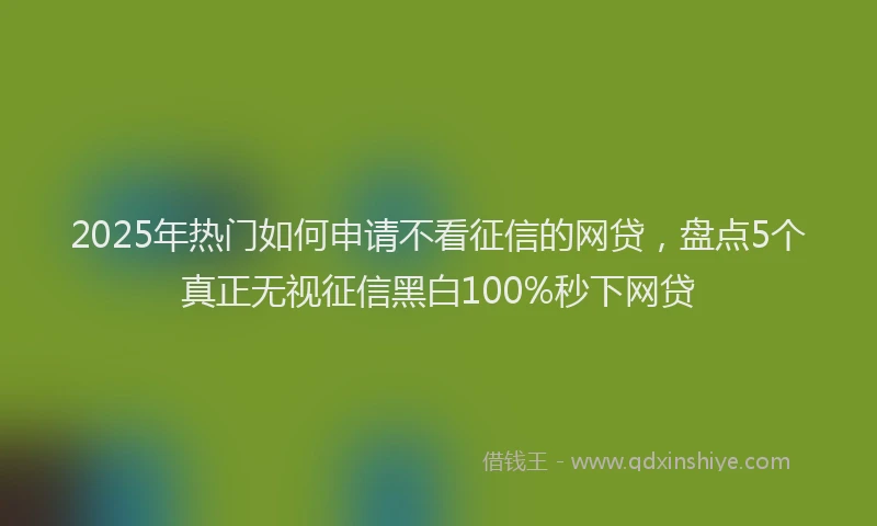 2025年热门如何申请不看征信的网贷，盘点5个真正无视征信黑白100%秒下网贷