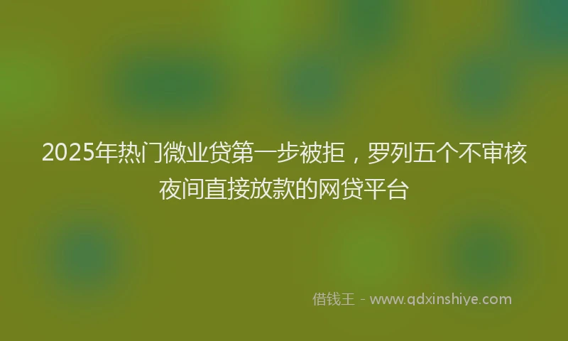 2025年热门微业贷第一步被拒，罗列五个不审核夜间直接放款的网贷平台
