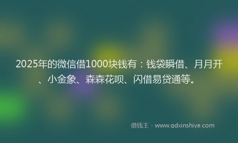 2025年的微信借1000块钱有：钱袋瞬借、月月开、小金象、森森花呗、闪借易贷通等。