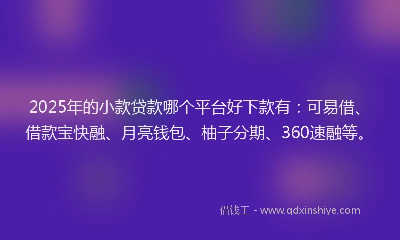 2025年的小款贷款哪个平台好下款有：可易借、借款宝快融、月亮钱包、柚子分期、360速融等。
