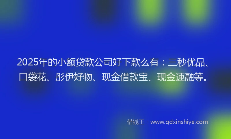 2025年的小额贷款公司好下款么有：三秒优品、口袋花、彤伊好物、现金借款宝、现金速融等。