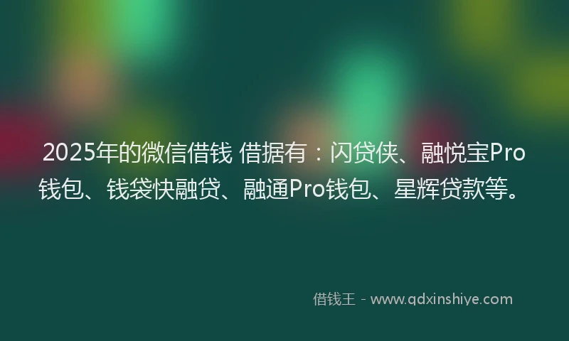 2025年的微信借钱 借据有：闪贷侠、融悦宝Pro钱包、钱袋快融贷、融通Pro钱包、星辉贷款等。
