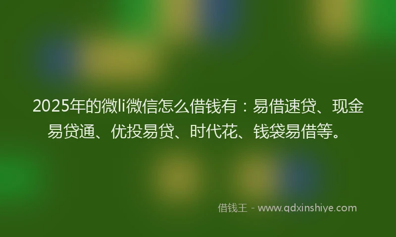 2025年的微li微信怎么借钱有：易借速贷、现金易贷通、优投易贷、时代花、钱袋易借等。