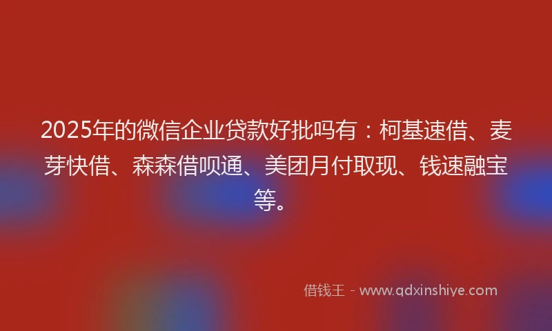 2025年的微信企业贷款好批吗有：柯基速借、麦芽快借、森森借呗通、美团月付取现、钱速融宝等。