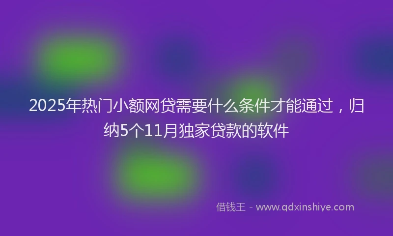 2025年热门小额网贷需要什么条件才能通过，归纳5个11月独家贷款的软件