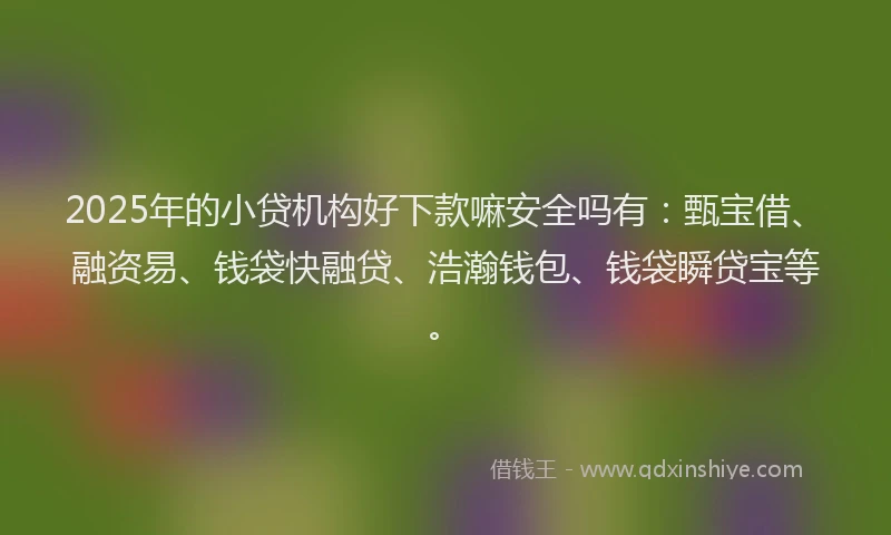2025年的小贷机构好下款嘛安全吗有：甄宝借、融资易、钱袋快融贷、浩瀚钱包、钱袋瞬贷宝等。