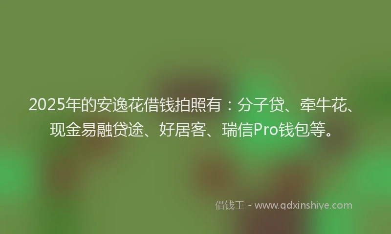 2025年的安逸花借钱拍照有：分子贷、牵牛花、现金易融贷途、好居客、瑞信Pro钱包等。
