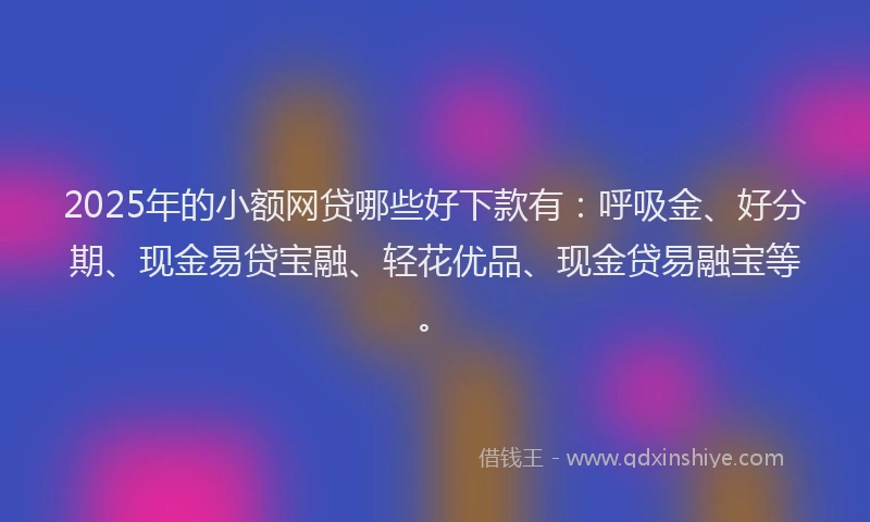 2025年的小额网贷哪些好下款有：呼吸金、好分期、现金易贷宝融、轻花优品、现金贷易融宝等。