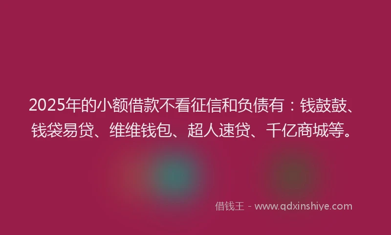 2025年的小额借款不看征信和负债有：钱鼓鼓、钱袋易贷、维维钱包、超人速贷、千亿商城等。