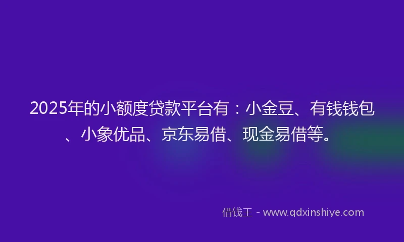 2025年的小额度贷款平台有：小金豆、有钱钱包、小象优品、京东易借、现金易借等。