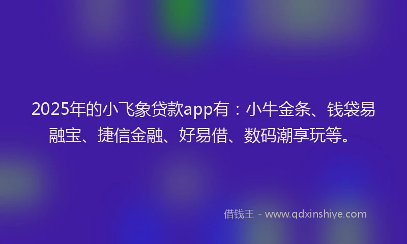 2025年的小飞象贷款app有：小牛金条、钱袋易融宝、捷信金融、好易借、数码潮享玩等。