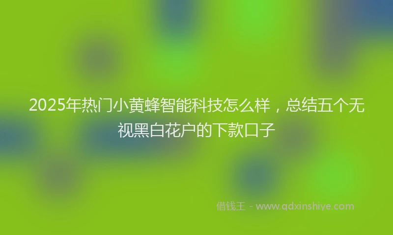 2025年热门小黄蜂智能科技怎么样，总结五个无视黑白花户的下款口子