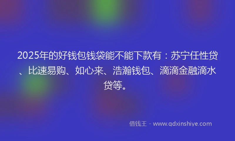 2025年的好钱包钱袋能不能下款有：苏宁任性贷、比速易购、如心来、浩瀚钱包、滴滴金融滴水贷等。