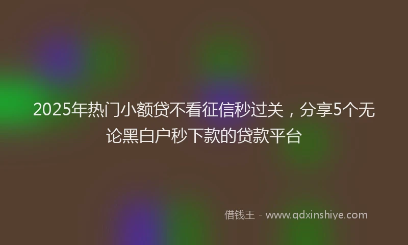 2025年热门小额贷不看征信秒过关，分享5个无论黑白户秒下款的贷款平台