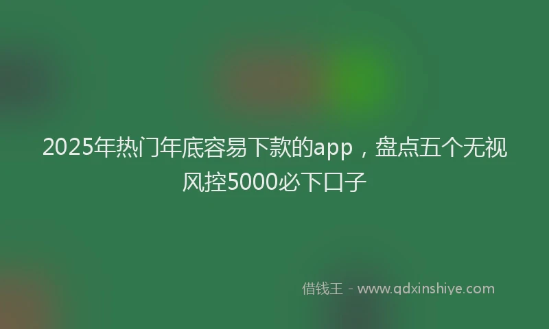 2025年热门年底容易下款的app，盘点五个无视风控5000必下口子