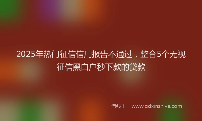 2025年热门征信信用报告不通过，整合5个无视征信黑白户秒下款的贷款