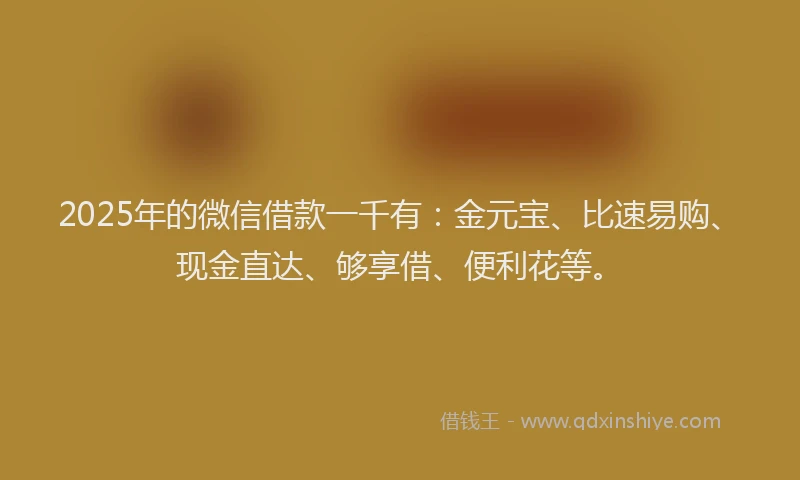 2025年的微信借款一千有:金元宝、比速易购、现金直达、够享借、便利花等。