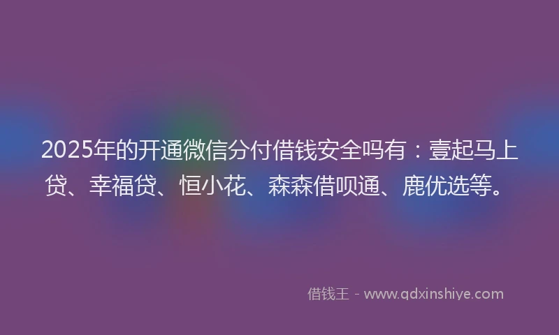 2025年的开通微信分付借钱安全吗有：壹起马上贷、幸福贷、恒小花、森森借呗通、鹿优选等。