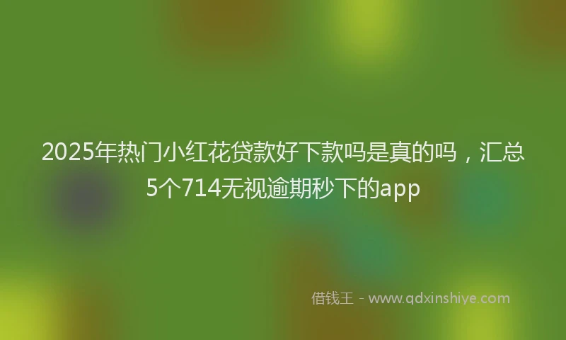 2025年热门小红花贷款好下款吗是真的吗，汇总5个714无视逾期秒下的app