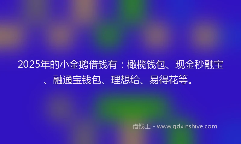 2025年的小金鹅借钱有：橄榄钱包、现金秒融宝、融通宝钱包、理想给、易得花等。