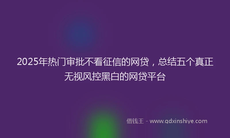 2025年热门审批不看征信的网贷，总结五个真正无视风控黑白的网贷平台