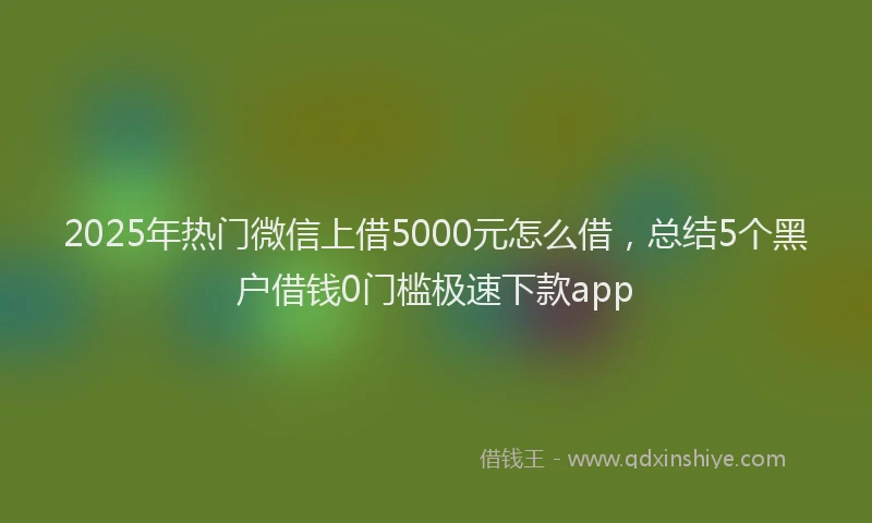 2025年热门微信上借5000元怎么借，总结5个黑户借钱0门槛极速下款app
