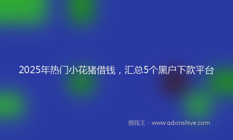 2025年热门小花猪借钱，汇总5个黑户下款平台