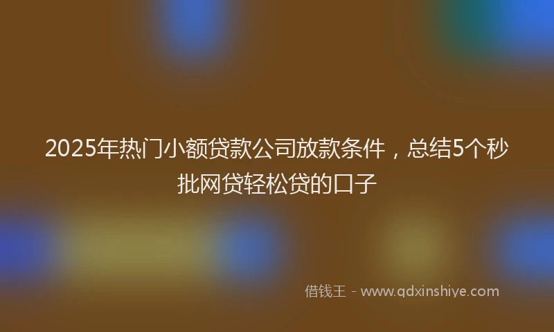 2025年热门小额贷款公司放款条件，总结5个秒批网贷轻松贷的口子