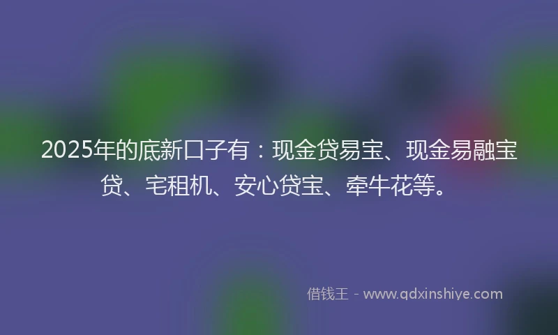 2025年的底新口子有：现金贷易宝、现金易融宝贷、宅租机、安心贷宝、牵牛花等。