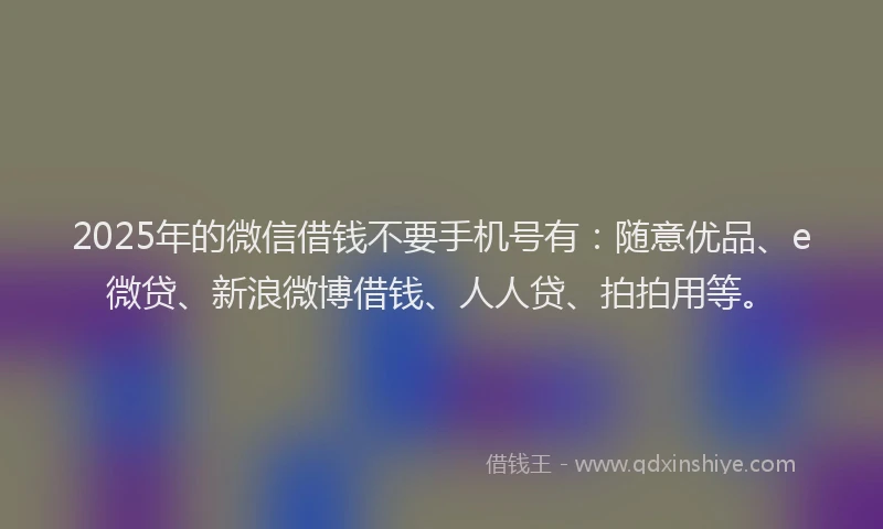 2025年的微信借钱不要手机号有：随意优品、e微贷、新浪微博借钱、人人贷、拍拍用等。