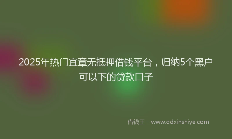 2025年热门宜章无抵押借钱平台，归纳5个黑户可以下的贷款口子