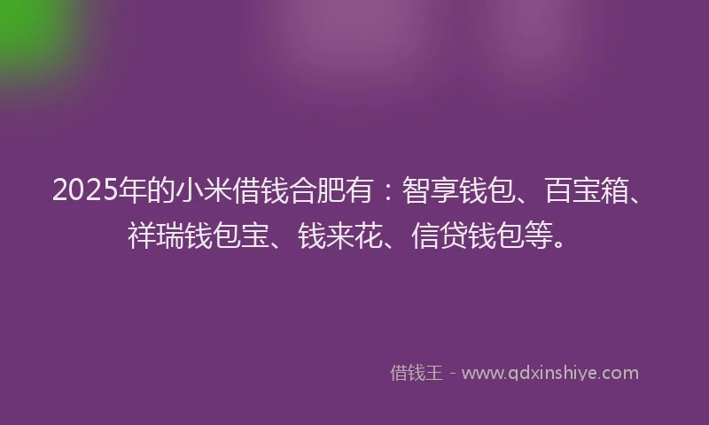 2025年的小米借钱合肥有：智享钱包、百宝箱、祥瑞钱包宝、钱来花、信贷钱包等。