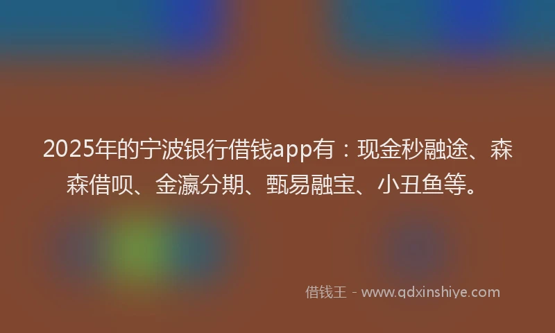 2025年的宁波银行借钱app有：现金秒融途、森森借呗、金瀛分期、甄易融宝、小丑鱼等。