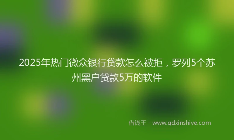 2025年热门微众银行贷款怎么被拒，罗列5个苏州黑户贷款5万的软件