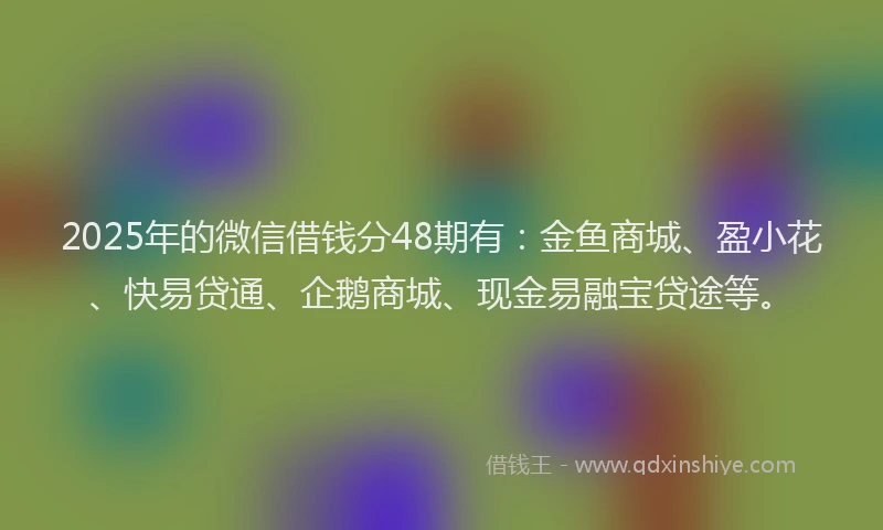 2025年的微信借钱分48期有：金鱼商城、盈小花、快易贷通、企鹅商城、现金易融宝贷途等。