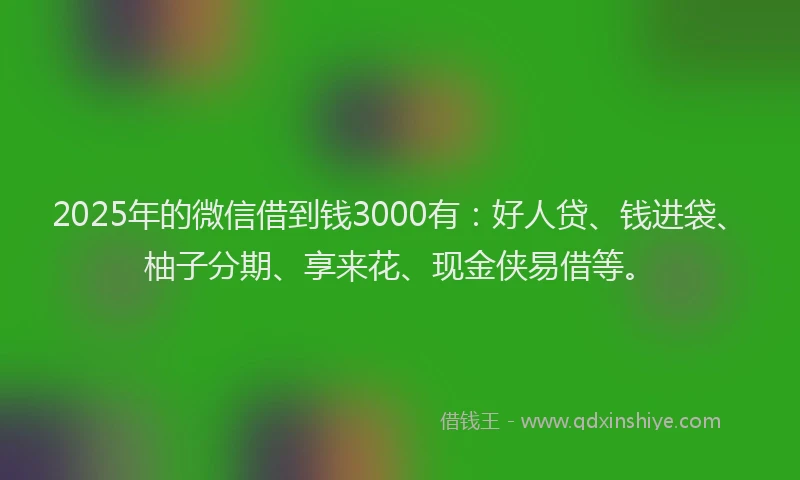 2025年的微信借到钱3000有：好人贷、钱进袋、柚子分期、享来花、现金侠易借等。