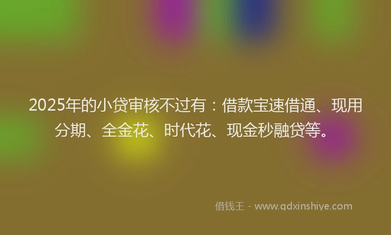 2025年的小贷审核不过有：借款宝速借通、现用分期、全金花、时代花、现金秒融贷等。