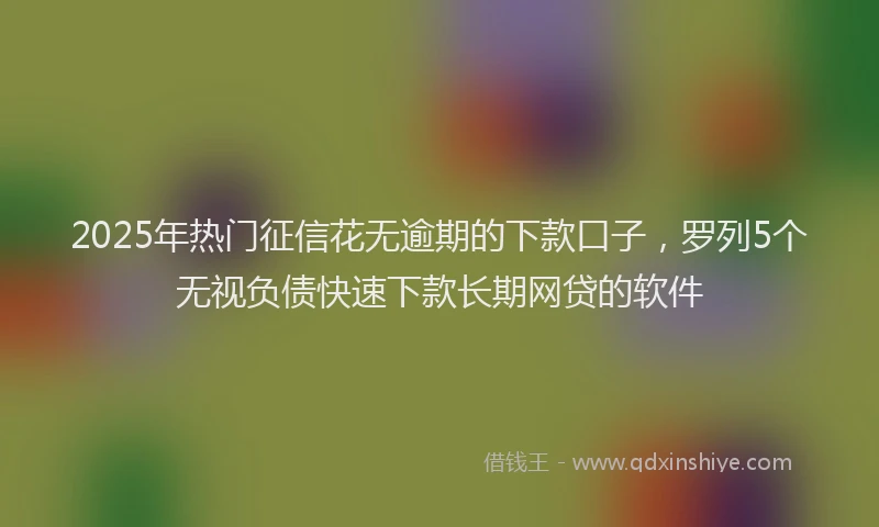 2025年热门征信花无逾期的下款口子，罗列5个无视负债快速下款长期网贷的软件