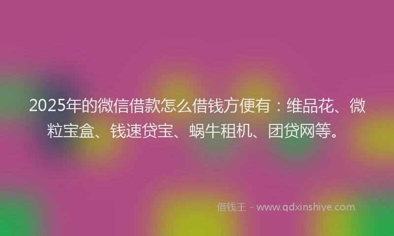 2025年的微信借款怎么借钱方便有：维品花、微粒宝盒、钱速贷宝、蜗牛租机、团贷网等。