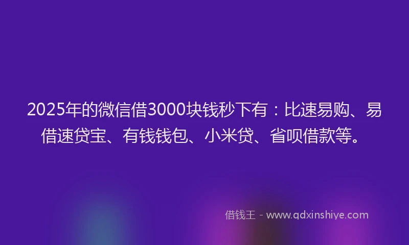 2025年的微信借3000块钱秒下有：比速易购、易借速贷宝、有钱钱包、小米贷、省呗借款等。